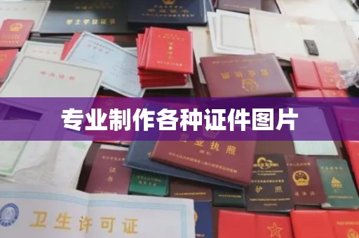 和龙专业制作各种证件图片