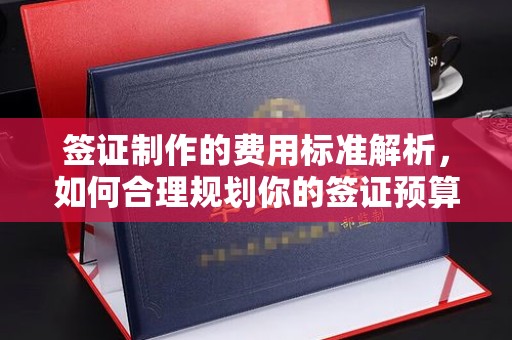 和龙签证制作的费用标准解析，如何合理规划你的签证预算