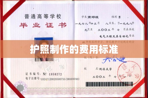 和龙护照制作的费用标准