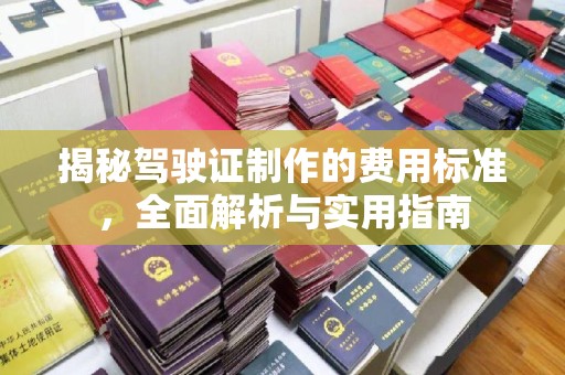 和龙揭秘驾驶证制作的费用标准，全面解析与实用指南