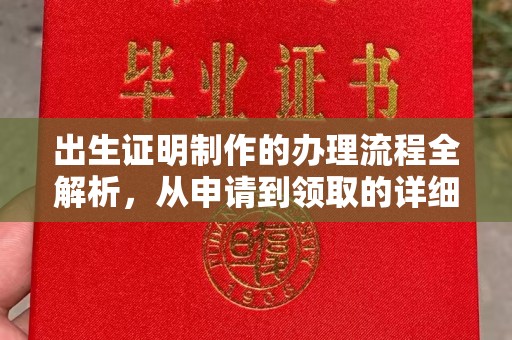 和龙出生证明制作的办理流程全解析，从申请到领取的详细指南