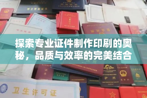 和龙探索专业证件制作印刷的奥秘，品质与效率的完美结合