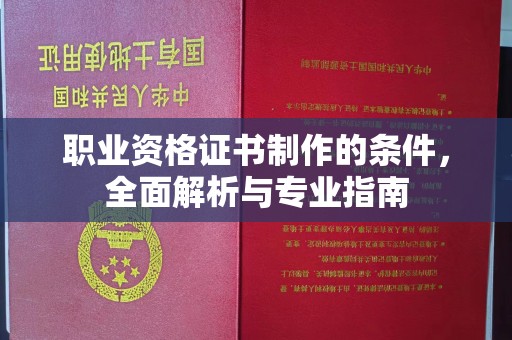 和龙职业资格证书制作的条件，全面解析与专业指南