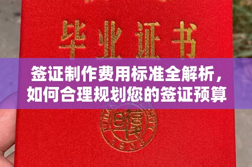 和龙签证制作费用标准全解析，如何合理规划您的签证预算？